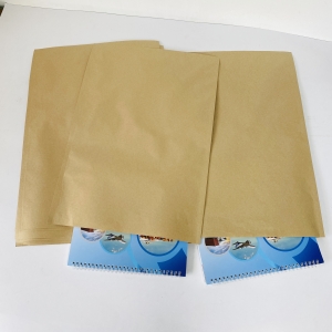 Túi giấy Kraft 5