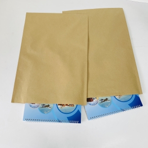 Túi giấy Kraft 5