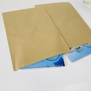 Túi giấy Kraft 5